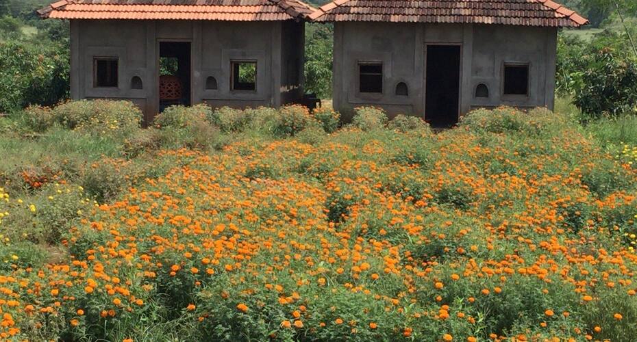 Arihant Agro Tourism, Ratnagiri 4